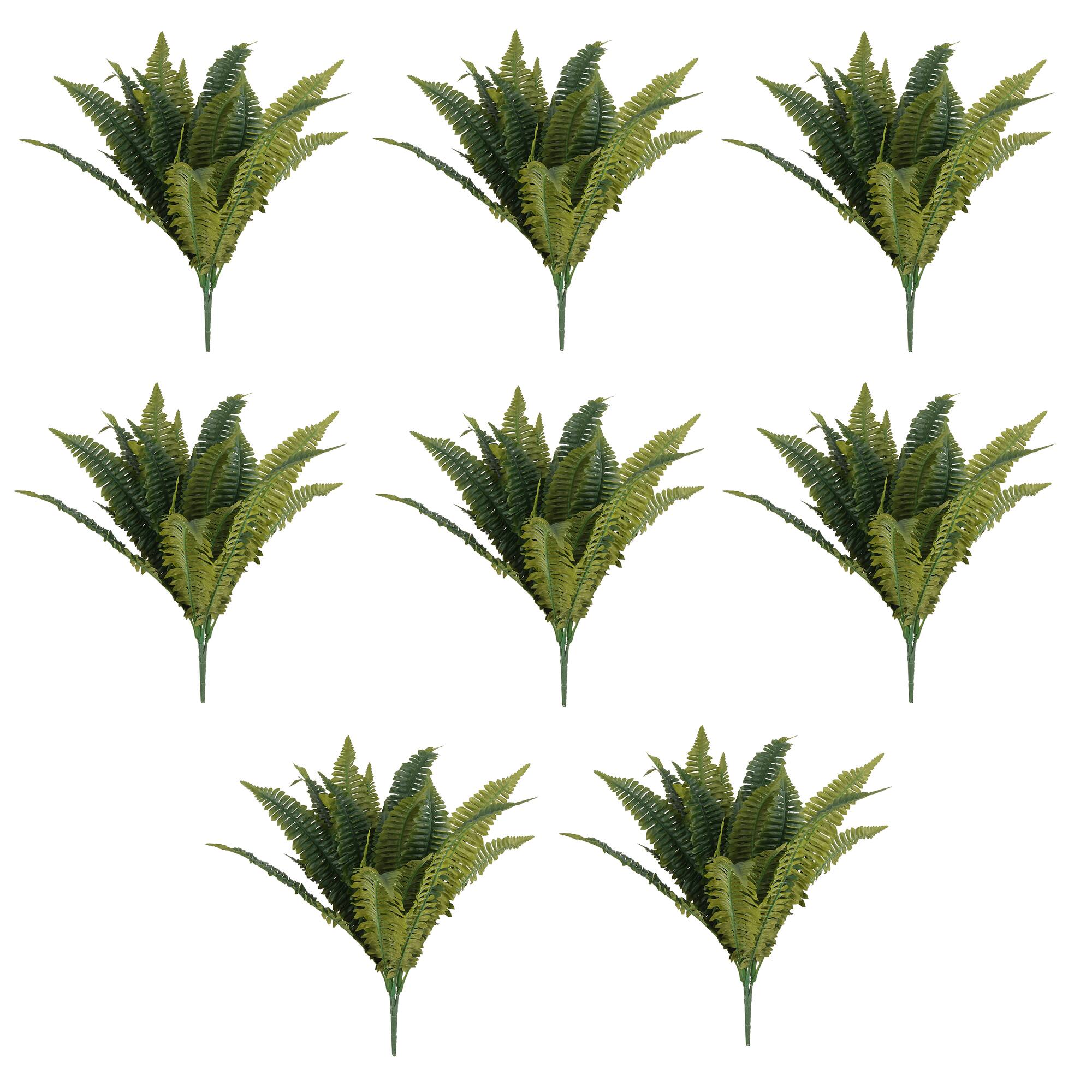 8 Pack: Boston Fern Bush by Ashland®